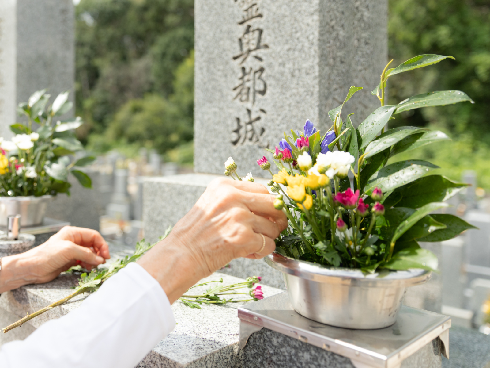 代参・お掃除からご報告までお任せください